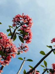 Picture of Integration test - CFG_BM_004 - Update